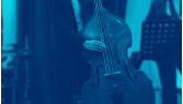 Petite annonce : Contrebassiste/bassiste dispo à partir de mai 2024 