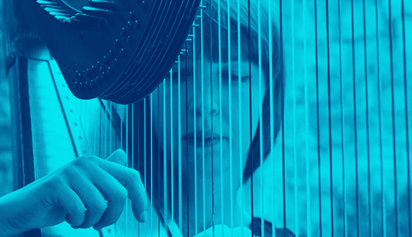 New Line-Up wanted: Prog Rock